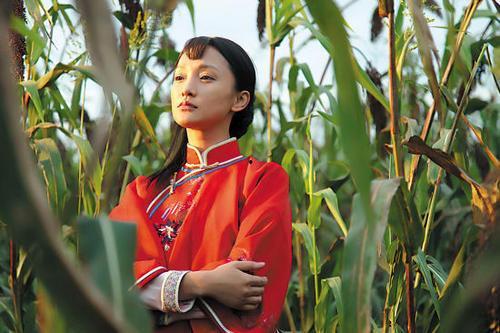 电视剧红高粱图片,烽火岁月里的爱情与抗争
